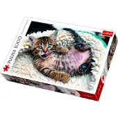 Trefl Cheerful Kitten 1000p palapeli