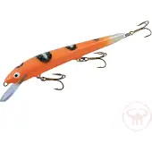 Nils Master Invincible 15 cm vaappu
