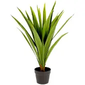 Kave Home Yucca-tekokasvi K 80 cm