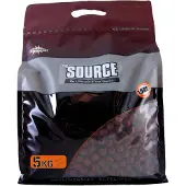 Dynamite Baits The Source Shelf Life 5kg Boili