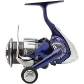 Daiwa Team R 2024 Karpin Kalastuskela