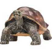 Small Foot Wildlife Giant Tortoise