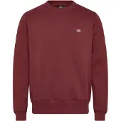 Dickies Oakport Collegepaita