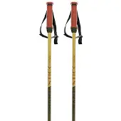 Völkl Phantastick 16mm Poles 2025 Laskettelusauvat vihreä, 130