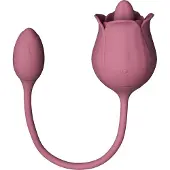 Amaysin Licking Rose Kielivibraattori ja Kiihotinkuula - Rose
