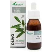 Soria natural Oliivinlehtiuute XXI