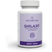 Naturecan Shilajit Kapselit