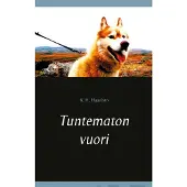 Haavisto, Tuntematon vuori