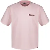 Dickies Slayden Gd Lyhythihainen T-paita