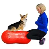 FitPAWS Trax Peanut punainen, 50 x 50 x 20 cm