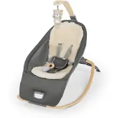 Ingenuity Every Season Rocking Seat - Wesley - Grey - ONE SIZE