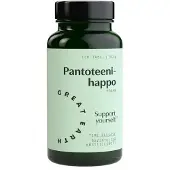 Great Earth Pantoteenihappo (Time Release) 500 mg 120 tabl ravintolisä