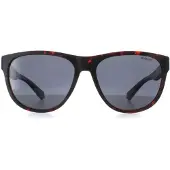 Polaroid Aurinkolasit PLD 2156/S 56/16/140 Mattapintaiset ruskeat havana Polykarbonaattikehykset UNISEX PLD 2156/S