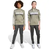 Adidas Treenipuku 'Seasonal Essentials Tiberio' vaaleanharmaa / tummanharmaa / oliivi / valkoinen