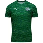 Puma Manchester City Treenipaita Pre Match - Green Terrain - , koko Large