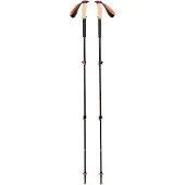 Black Diamond trail cork trekking poles