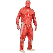 Widmann "ANATOMY FAST SUIT" (takki, housut, hanskat, maski)