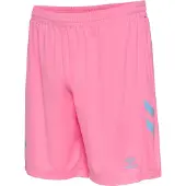 Hummel Rc Celta De Vigo 25/26 Third Shortsit