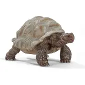Schleich Jättiläiskilpikonna