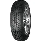 Neolin NeoWinter Ice 205/55R16 91T 3PMSF