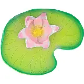 Oli&carol Water Lily Purulelu