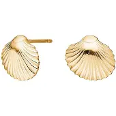 Nordahl Jewellery Sea52 korvakorut 30260445900
