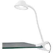 TRIO Berry LED klipsuvalaisin 26cm 3000K 3,5cm valkoinen