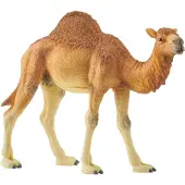 Schleich Dromedaari - 14832