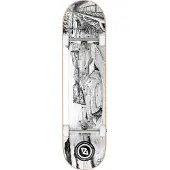 Hydroponic Sport Serie Co 8.125´´ Skeittilauta