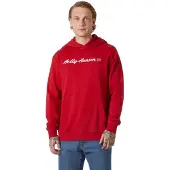 Helly Hansen Core Graphic Huppari