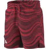 Adidas Pro Shortsit
