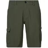 Oakley Apparel B1B Cargo Hybrid Shortsit vihreä, 32