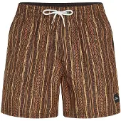 O'Neill Cali Print 15'' Surffishortsit orange pressed lines Koko XS