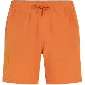 O'Neill O'Riginals Cali Ocean 16'' Surffishortsit cinnamon stick Koko XXL