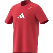 Adidas Category Graphic Lyhythihainen T-paita