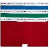Tommy Hilfiger Signature Essential Um0um02761 Boxerit 3 Yksiköt