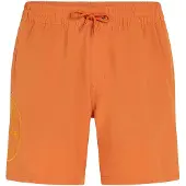 O'Neill O'Riginals Cali Ocean 16'' Surffishortsit cinnamon stick Koko XL