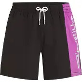 O'Neill Retro 14'' Surffishortsit digitalis colour block Koko S