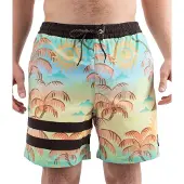 Hurley Phntm Eco Block Party Volley 17´´ Uimashortsit