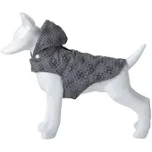 Freedog Flash Koiran Takki