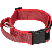 JULIUS K-9 Collar 50 Mm Koiranpanta