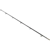 Wizard Catfish Shadow Vavan Kärki 2.7 M
