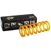 Öhlins 00698-24 Takajousituksen Jousi