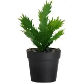 ABERTO DESIGN koristekasvi, 21 cm
