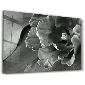 Hobby Hall Taulu CAM-3065
