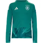 Adidas Toiminnallinen paita 'DFB Home' vihreä / petrooli / valkoinen