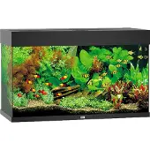Gebr. De Boon - Rio 125 LED Black Aquarium - Akvaariotarvikkeet - Akvaariot ja akvaariokalusteet - Akvaariot