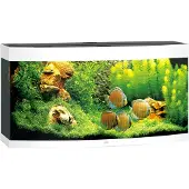 Gebr. De Boon - Vision 260 LED White Aquarium - Akvaariotarvikkeet - Akvaariot ja akvaariokalusteet - Akvaariot