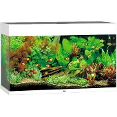 Gebr. De Boon - Rio 125 LED White Aquarium - Akvaariotarvikkeet - Akvaariot ja akvaariokalusteet - Akvaariot
