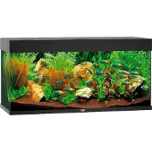 Gebr. De Boon - Rio 180 LED Black Aquarium - Akvaariotarvikkeet - Akvaariot ja akvaariokalusteet - Akvaariot
